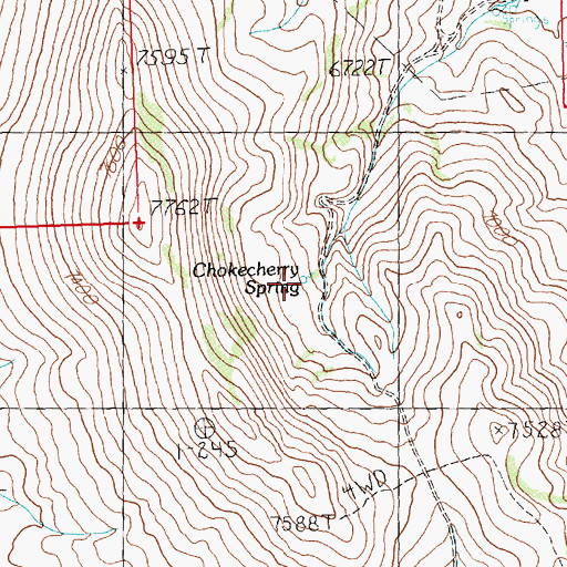 Topographic Map of Chokecherry Spring, NV