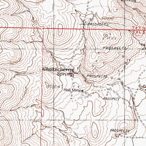 Topographic Map of Chokecherry Spring, NV