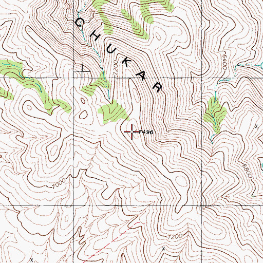 Topographic Map of Chukar Ridge, NV