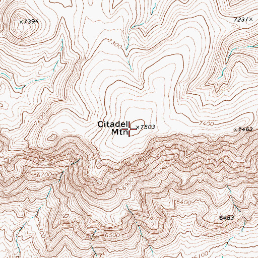 Topographic Map of Citadel Mountain, NV