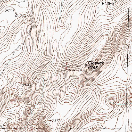 Topographic Map of Cleaver Peak, NV