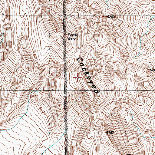 Topographic Map of Cockeyed Ridge, NV