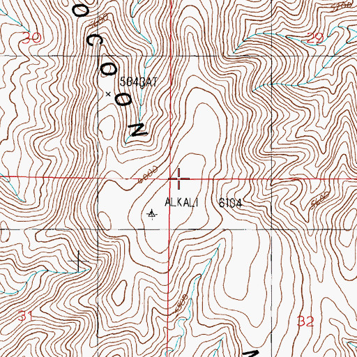 Topographic Map of Cocoon Mountains, NV