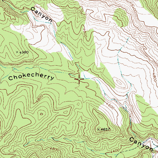 Topographic Map of Colburn Canyon, NV