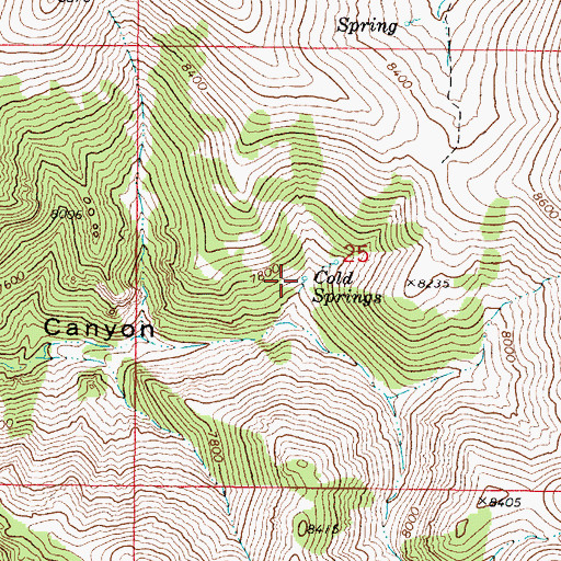 Topographic Map of Cold Springs, NV