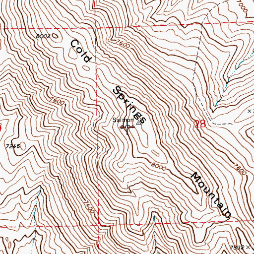 Topographic Map of Cold Springs Mountain, NV