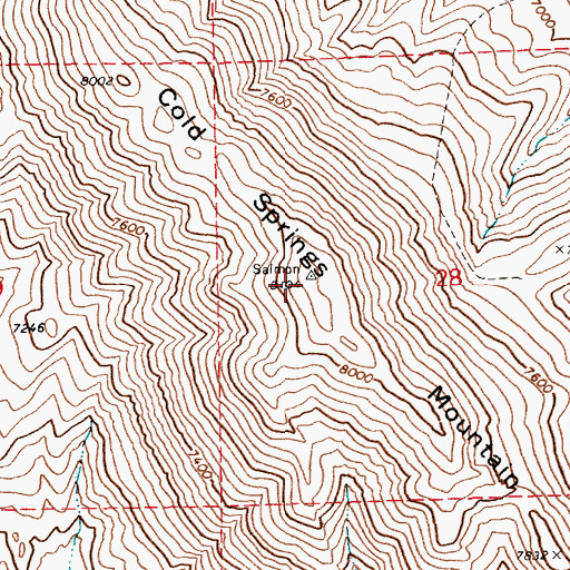 Topographic Map of Cold Springs Mountain, NV