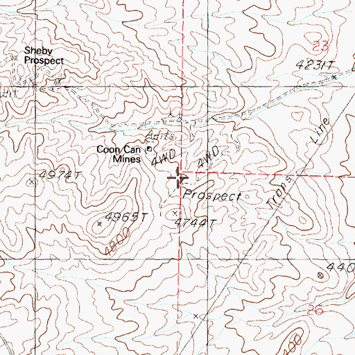 Topographic Map of Coon Can Mines, NV
