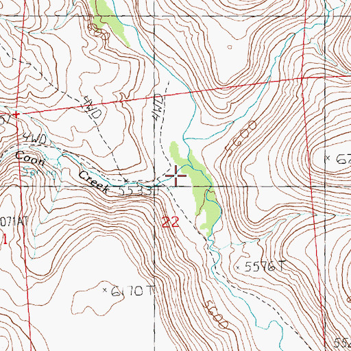 Topographic Map of Coon Creek, NV