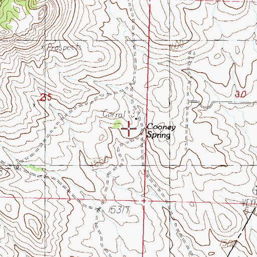 Topographic Map of Cooney Spring, NV