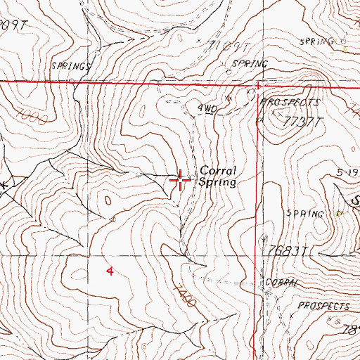Topographic Map of Corral Spring, NV
