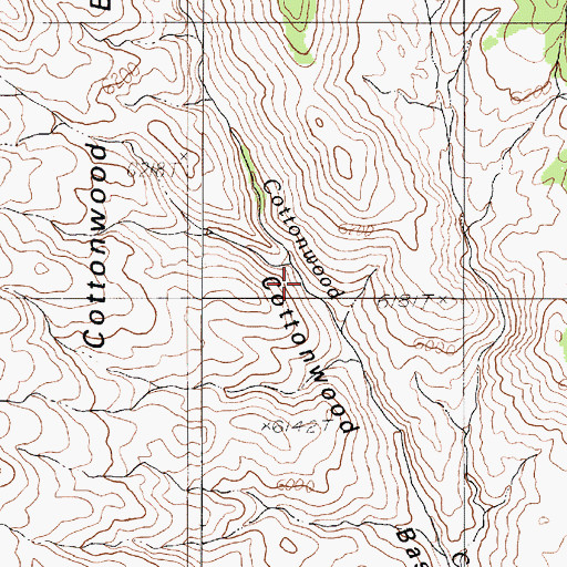 Topographic Map of Cottonwood Basin, NV