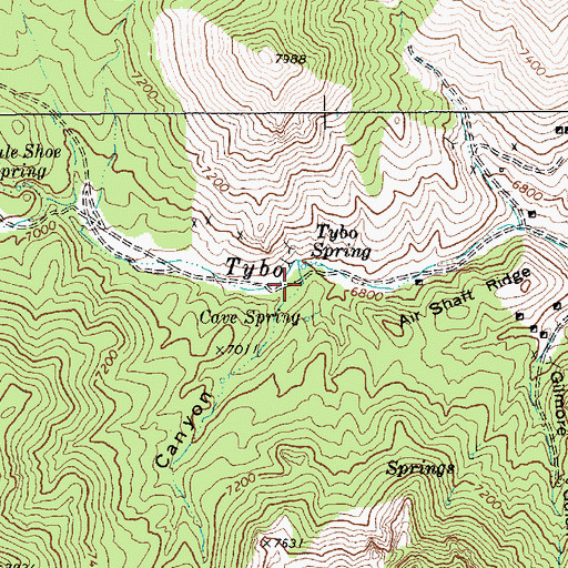 Topographic Map of Cottonwood Canyon, NV
