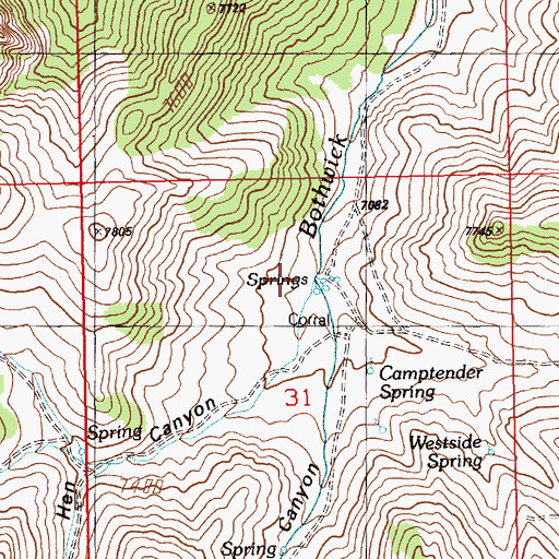 Topographic Map of Cottonwood Canyon, NV
