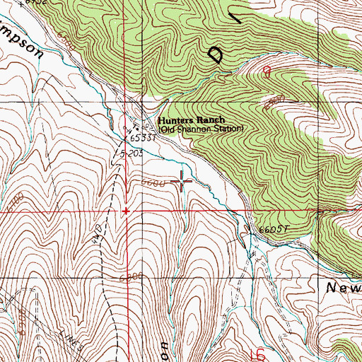 Topographic Map of Cottonwood Canyon, NV