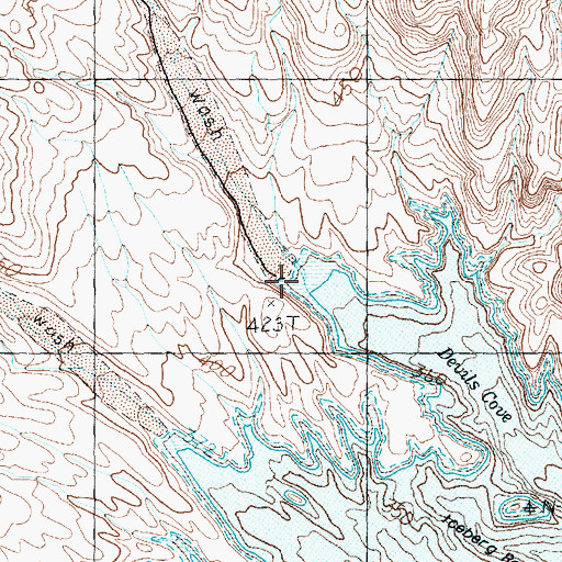 Topographic Map of Cottonwood Canyon, NV