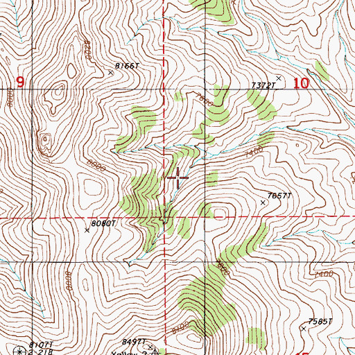 Topographic Map of Cottonwood Number One Spring, NV