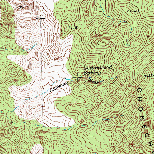Topographic Map of Cottonwood Spring, NV