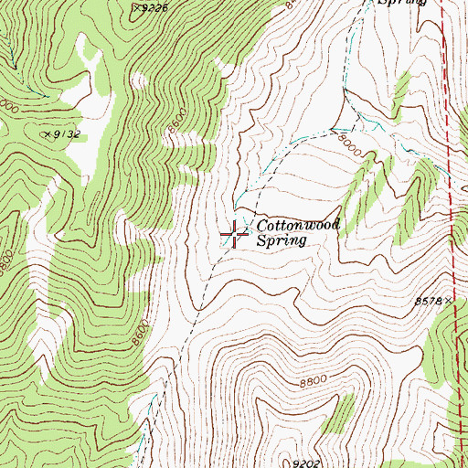Topographic Map of Cottonwood Spring, NV