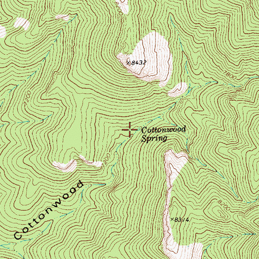 Topographic Map of Cottonwood Spring, NV