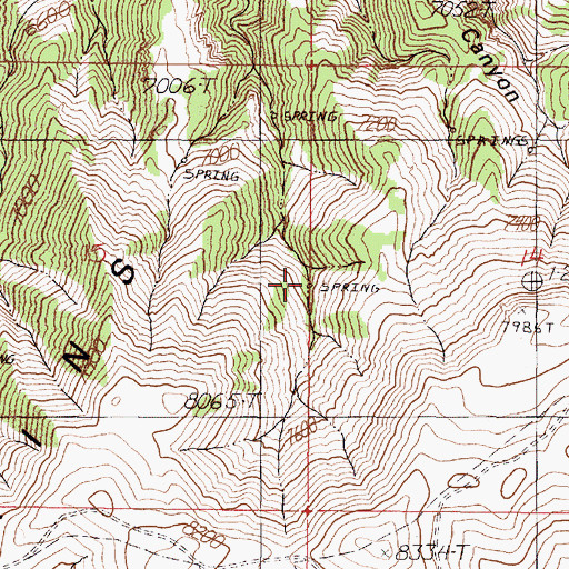 Topographic Map of Cottonwood Spring, NV