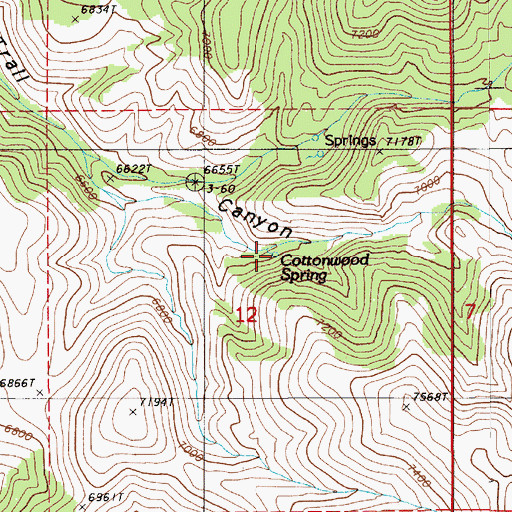 Topographic Map of Cottonwood Spring, NV