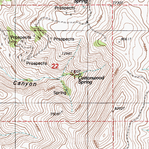 Topographic Map of Cottonwood Spring, NV