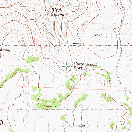 Topographic Map of Cottonwood Spring, NV