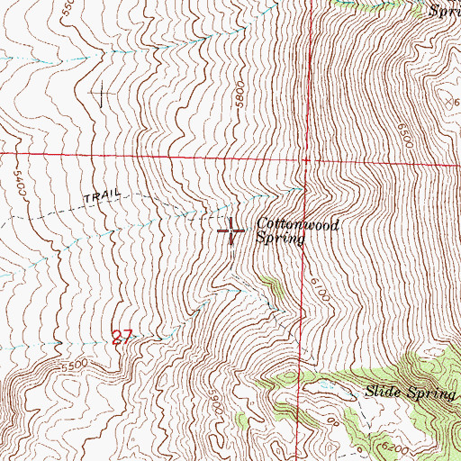 Topographic Map of Cottonwood Spring, NV