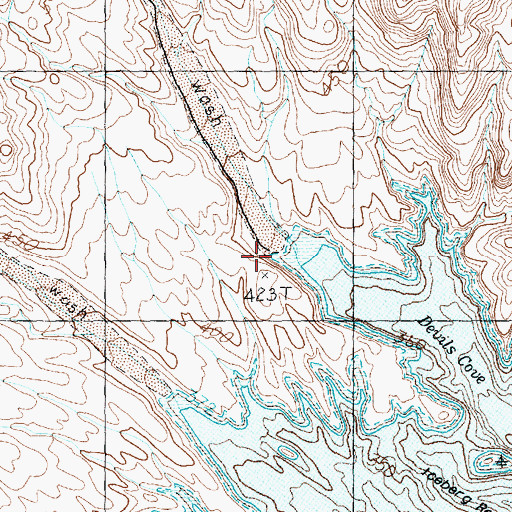 Topographic Map of Cottonwood Wash, NV