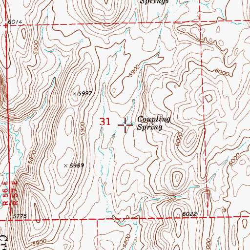 Topographic Map of Coupling Spring, NV