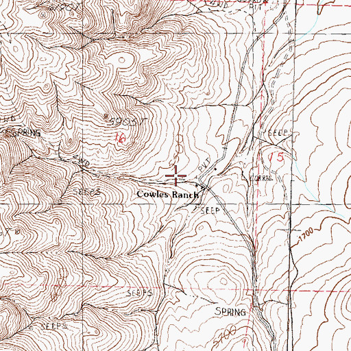 Topographic Map of Cowles Ranch, NV