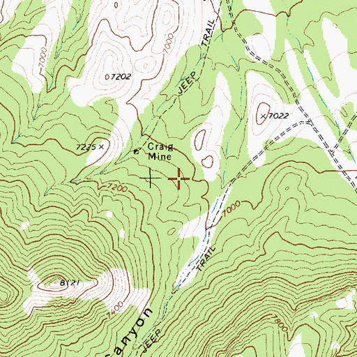 Topographic Map of Craig Canyon, NV
