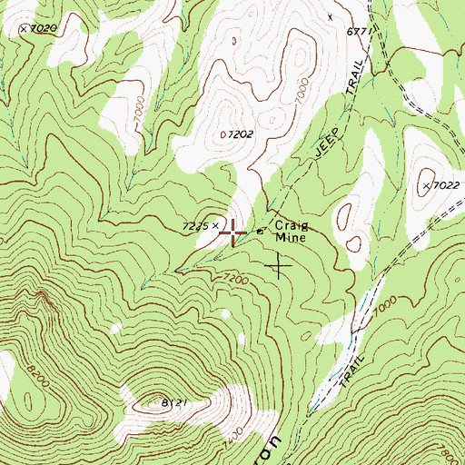 Topographic Map of Craig Mine, NV