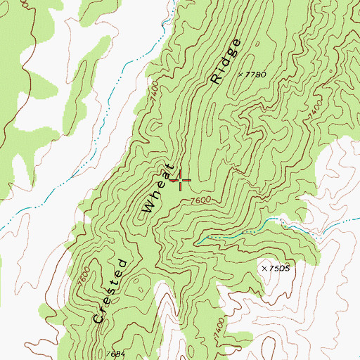 Topographic Map of Crested Wheat Ridge, NV