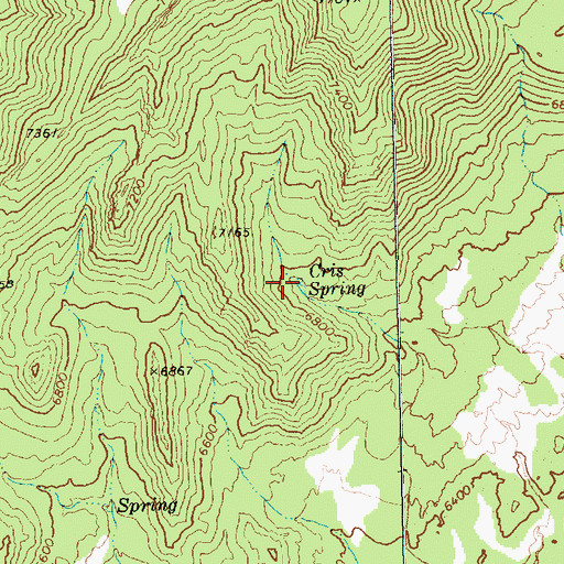 Topographic Map of Cris Spring, NV