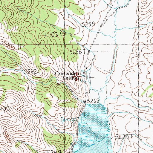 Topographic Map of Crittenden Springs, NV