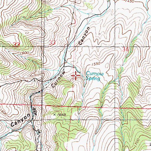 Topographic Map of Curnow Spring, NV