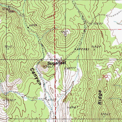 Topographic Map of Dale Canyon, NV