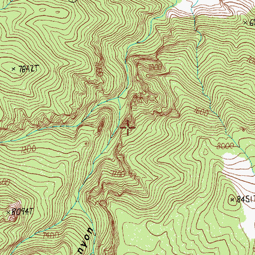 Topographic Map of Deep Canyon, NV