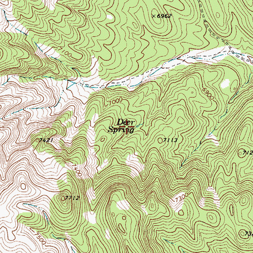 Topographic Map of Deer Spring, NV