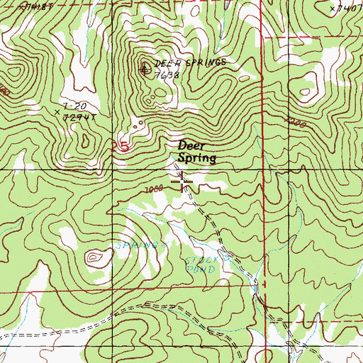 Topographic Map of Deer Spring, NV