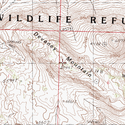 Topographic Map of Devaney Mountain, NV