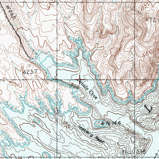 Topographic Map of Devils Cove, NV