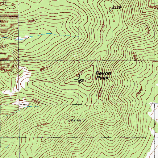 Topographic Map of Devon Peak, NV