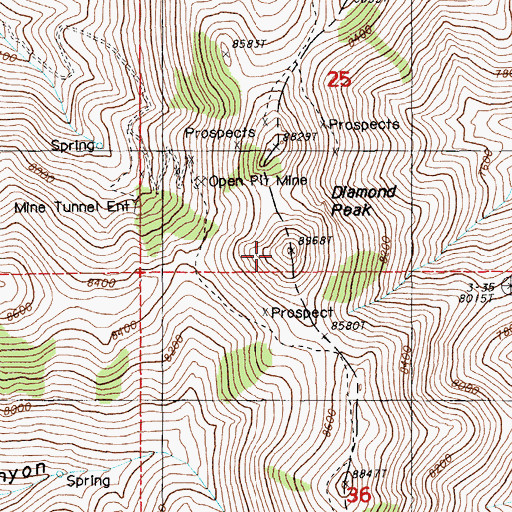 Topographic Map of Diamond Peak, NV