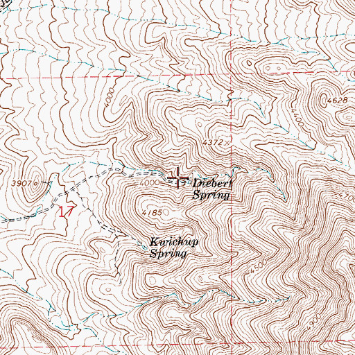 Topographic Map of Diebert Spring, NV