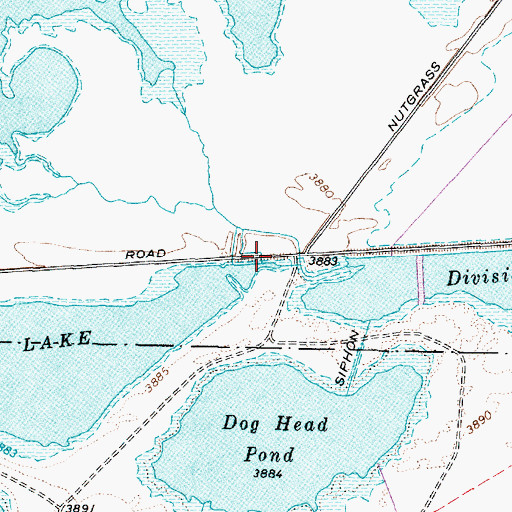 Topographic Map of Division Lake, NV