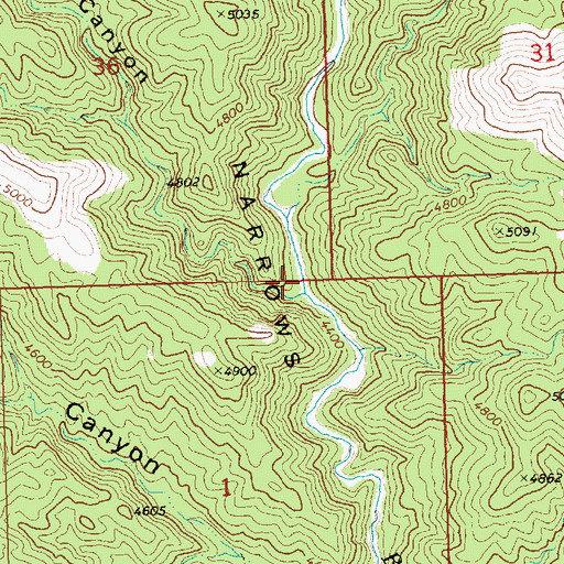 Topographic Map of Docs Pass Canyon, NV
