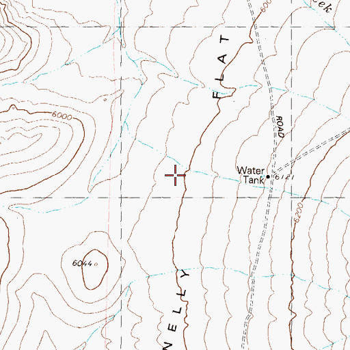 Topographic Map of Donnelly Flat, NV